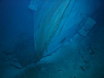 Stem of bow